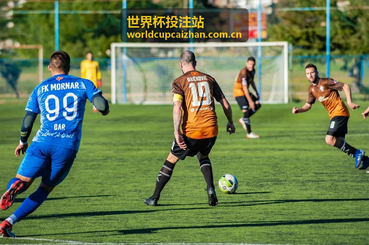 球队伤病情报